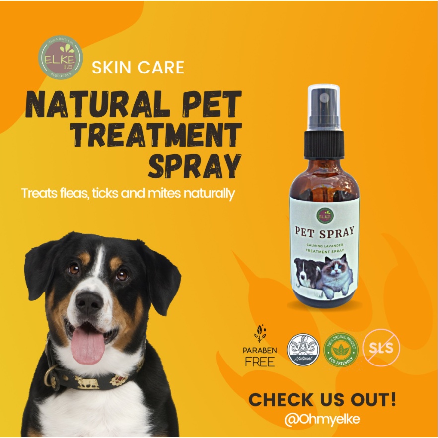 ALL NATURAL PET SPRAY/ Tick flea spray/Organic Anti Mange for Dog and ...