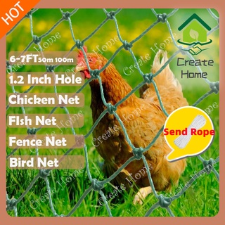 Net Chicken Net Range Net 50/100Meters Poultry Ranging Fishing Anti Bird For farms Net Garden Net