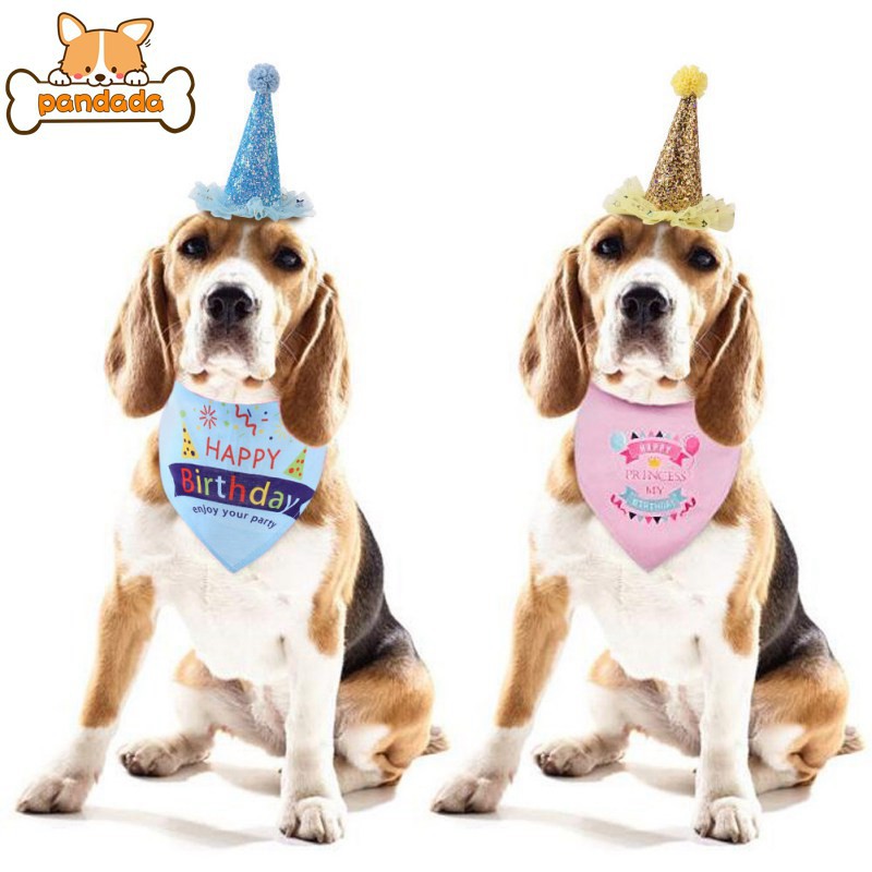 dog birthday bandana