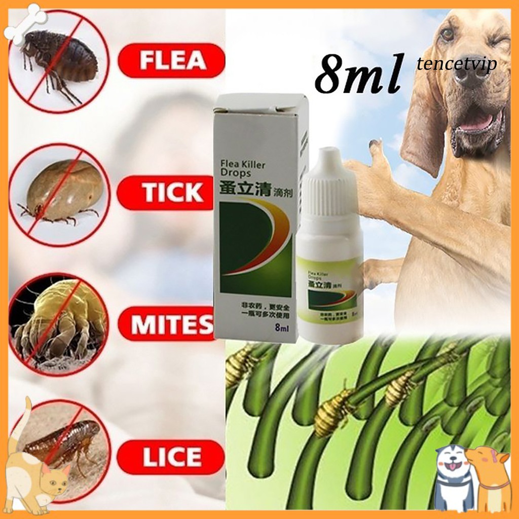 Medicine For Lice In Dogs | atelier-yuwa.ciao.jp