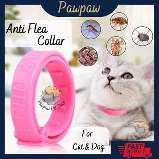 Pawpaw Kolar Medicine Cat flea To The Most Lice Chain Cat dog Cat dog collar anti flea collar mite