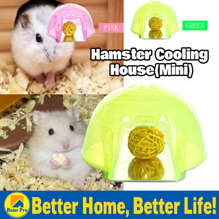hamster supplies
