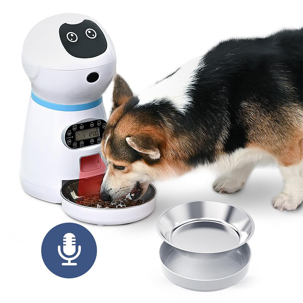 dog food timer
