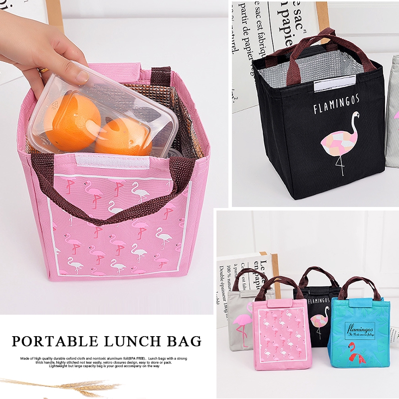 bento box and cooler bag