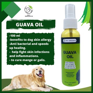 [PET ORGANICS] Guava Oil 100% Original PURE GUAVA EXTRACT MEDICINAL Pet Oil Dog Healing 100ml