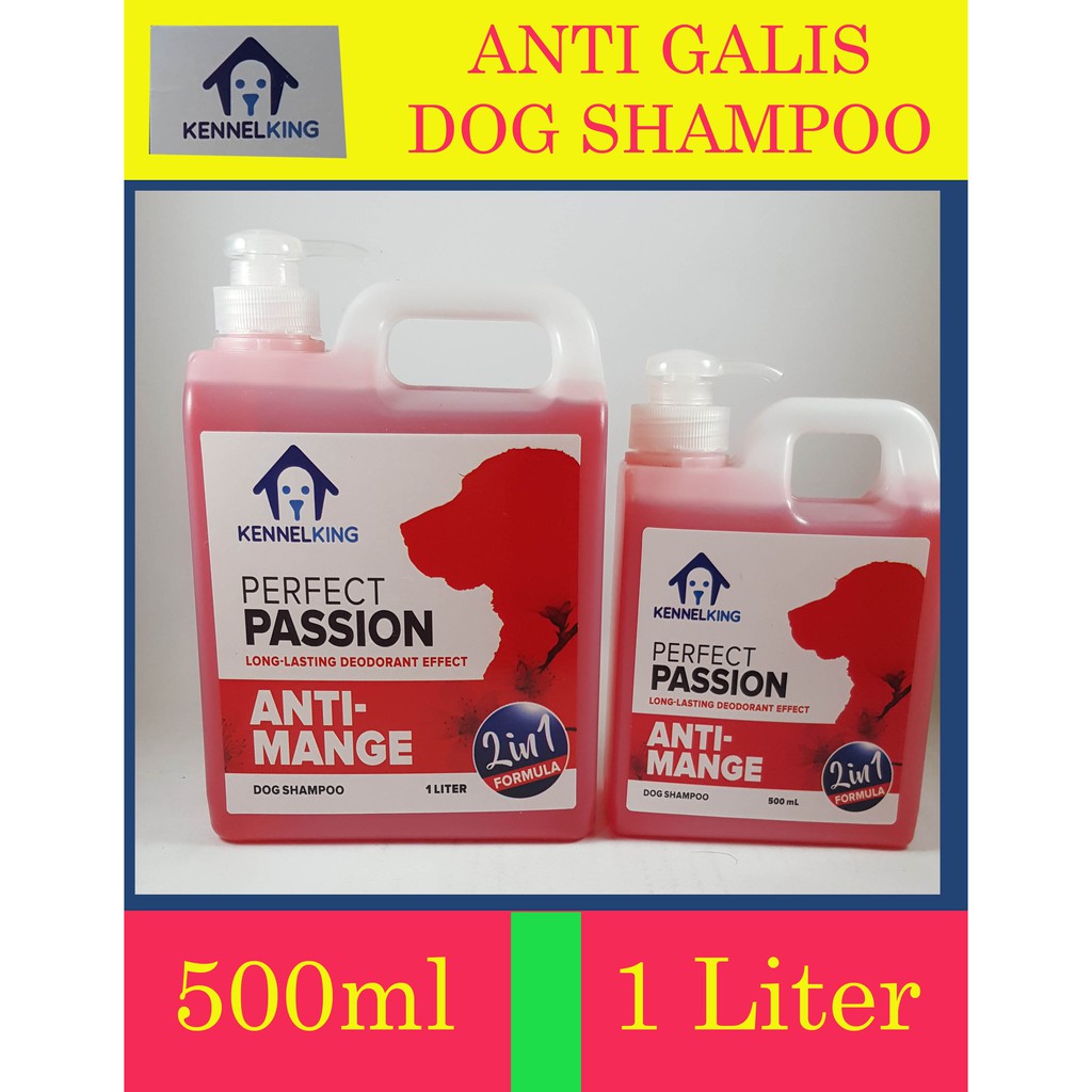 anti galis shampoo for dogs