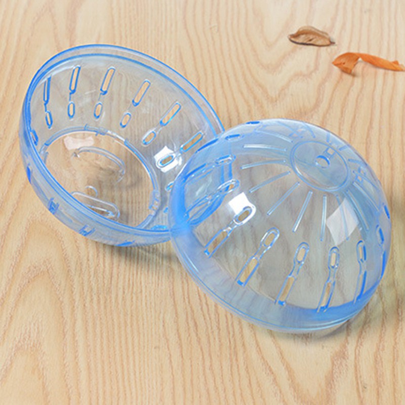 guinea pig balls for sale