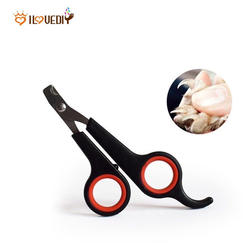 guinea pig nail trimmers