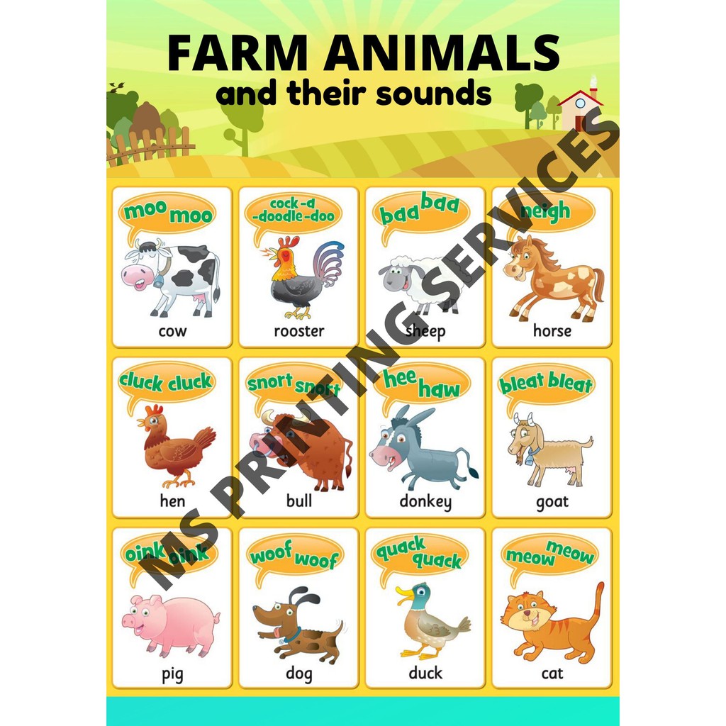 Laminated Chart (Farm Animals and Their Sounds) | Shopee Philippines