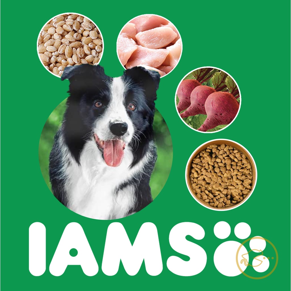 who makes iams dog food