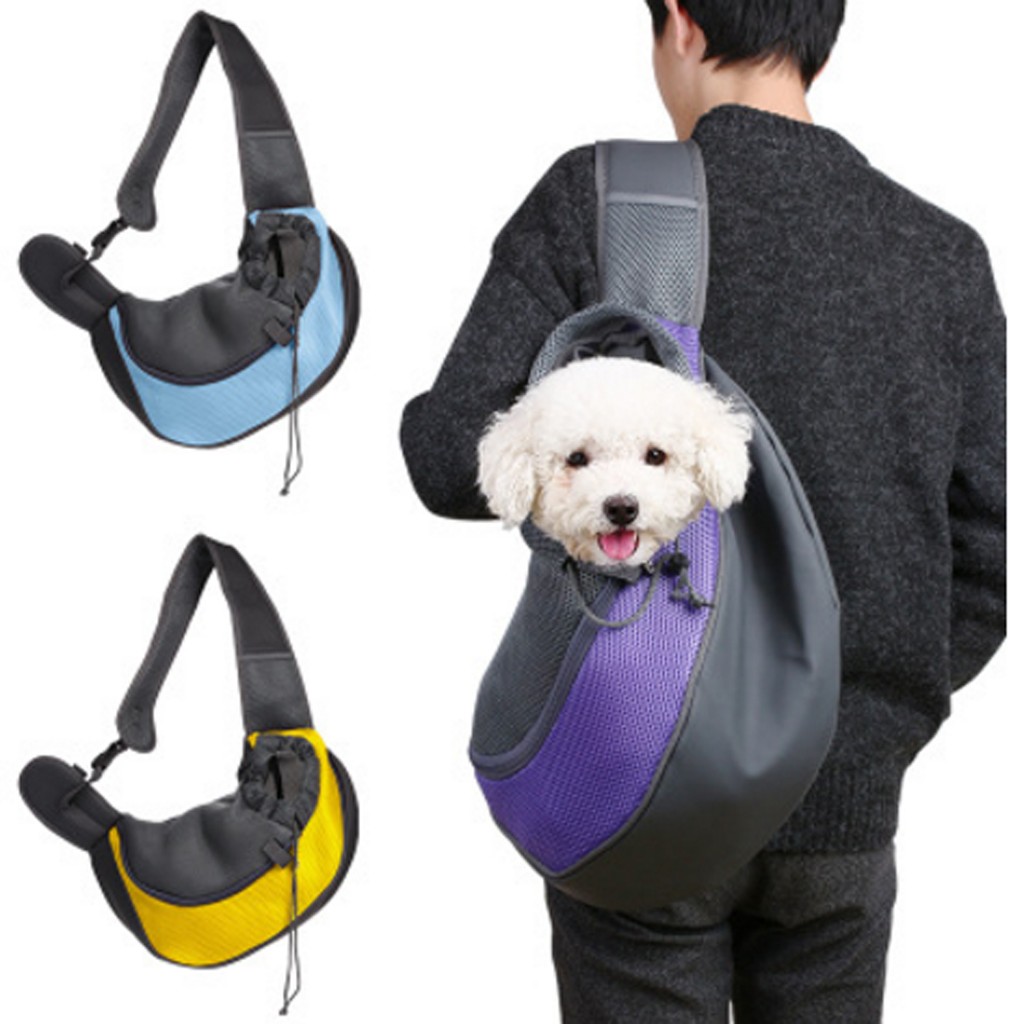 small pet carrier