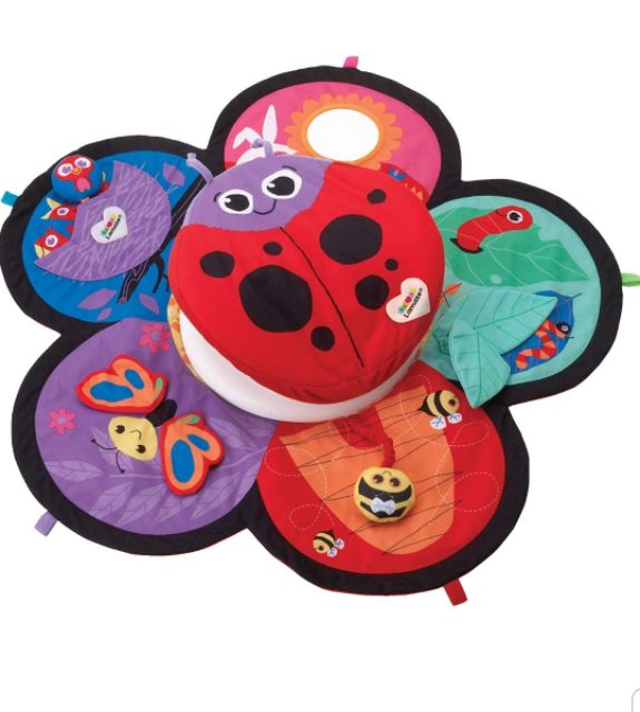 lamaze activity gym
