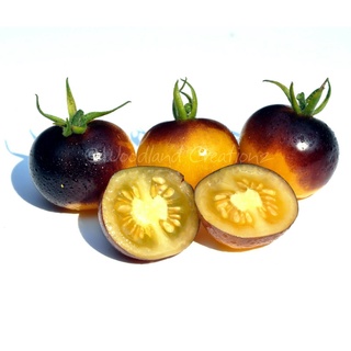 20pcs Gold Berries Cherry Tomato Seeds Organic Heirloom Yellow Fruit #2