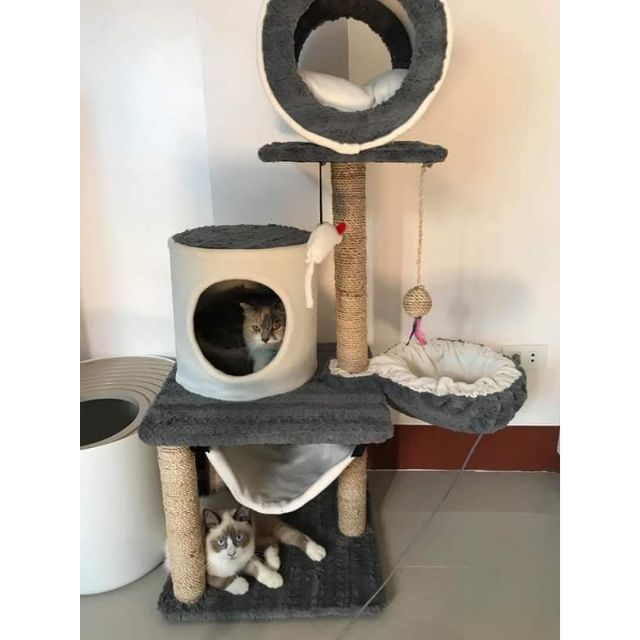 shopee cat tree