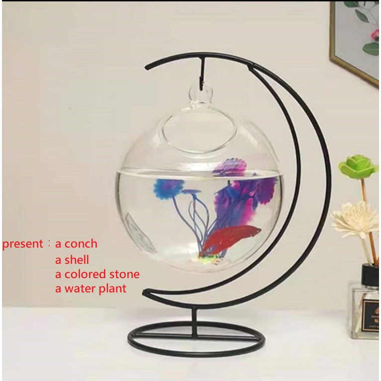 Desk Glass Hanging Fish Bowl Tank Beta Wall Tank with Stand Fish Homes