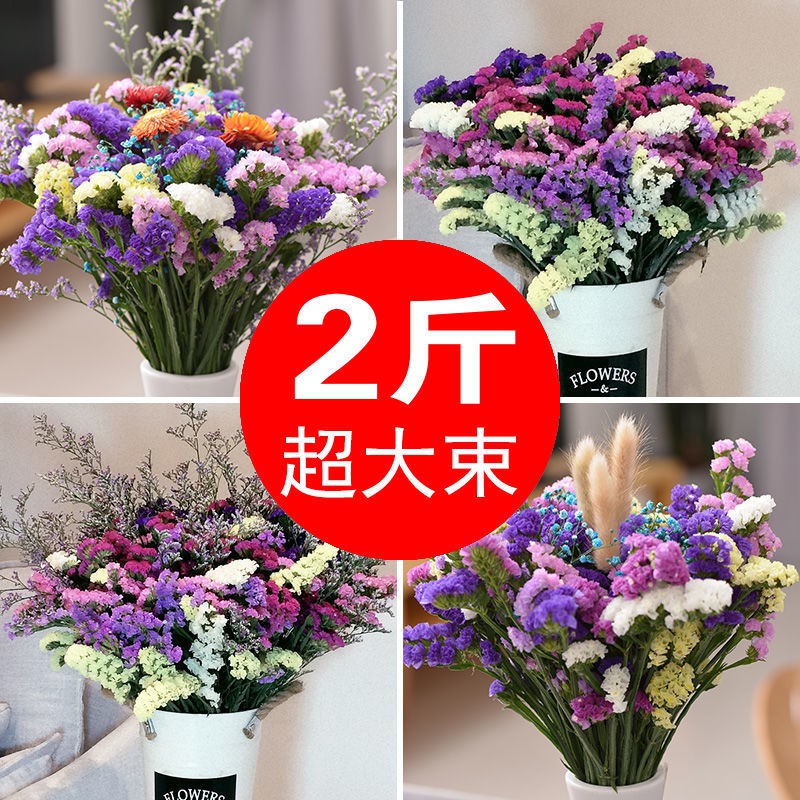 Yunnan Forget Me Not Dried Flower Bouquet Buy One Catty Free One Catty Gypsophila Dry Flower Living Room Decoration Bouquet Real Flowers Wholesale Shopee Philippines