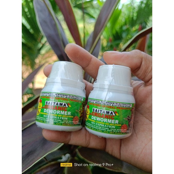 Chicken Dewormer ng manok & Dewormer for all animals SAITAMA Manok ...