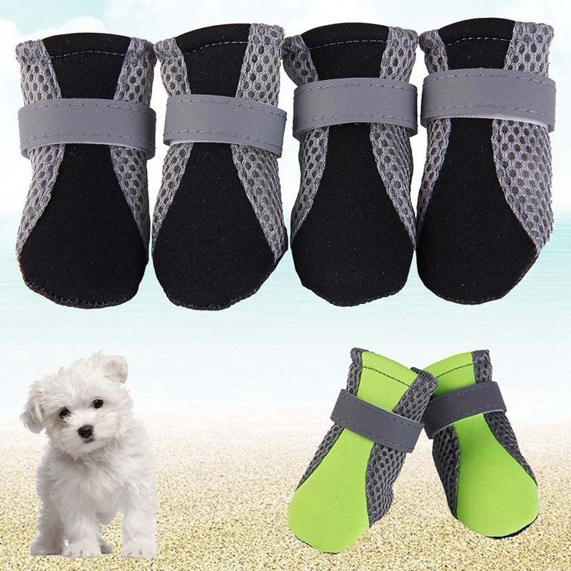 dog shoes shopee