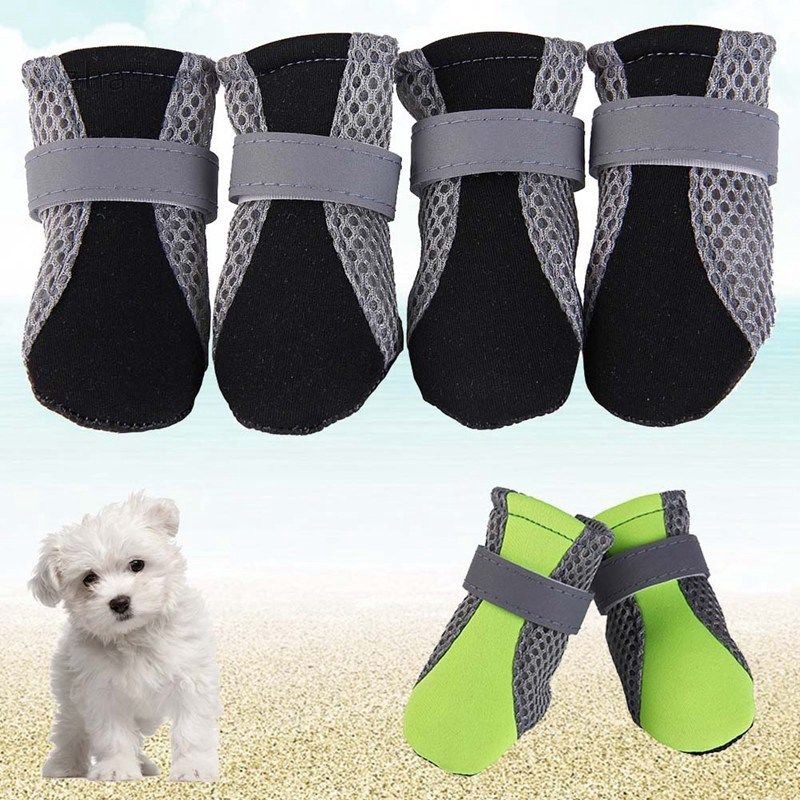 westie rain boots