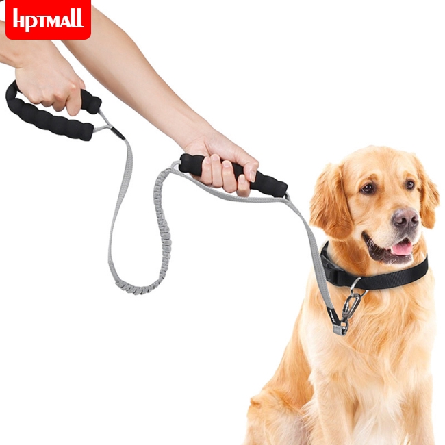 outdoor dog chain