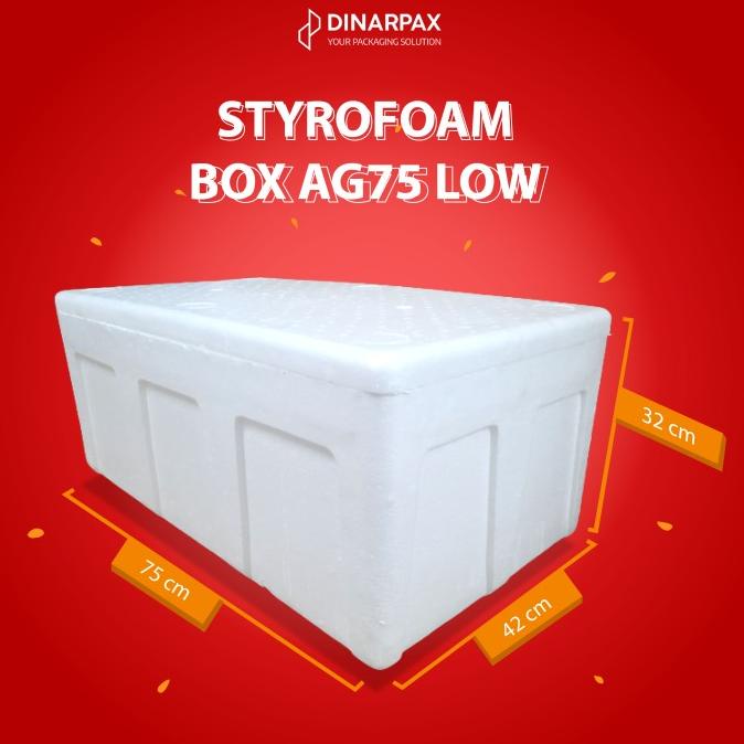 large-styrofoam-box-ag-75-low-density-styrofoam-dinarbox-box-ag75