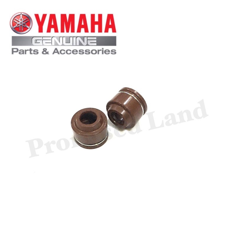 FZ16 ,Mio sporty,Mio i 125, Stx Valve seal set (original/genuine Yamaha