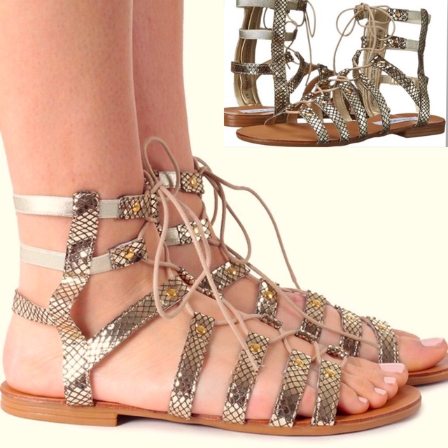steve madden gladiator sandals