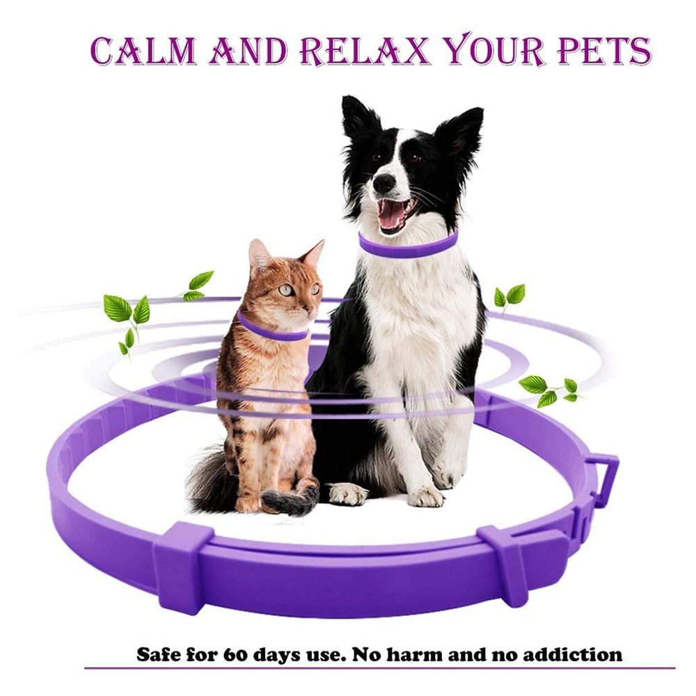 does dog calming collar safe cats