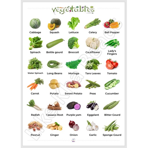 Laminated Big chart Vegetables Educational Chart for kids, A3 Chart ...