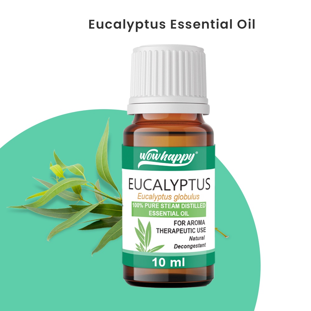 Wowhappy 100 Pure Eucalyptus Essential Oil Therapeutic Grade 10ml