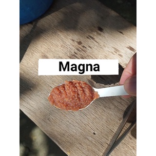 Magna Daphnia Starter Culture pack