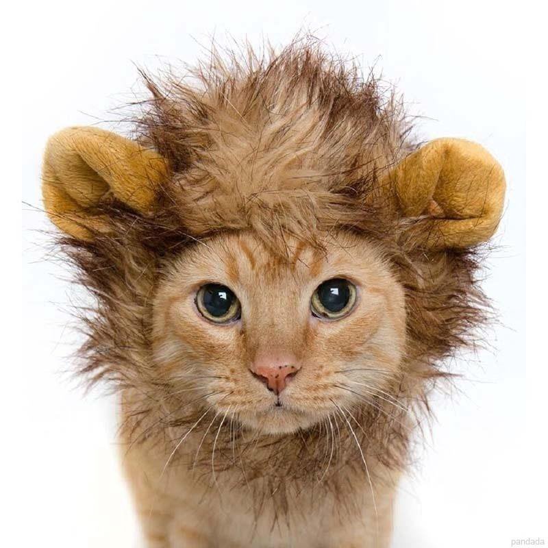 COD 1002 Pet Cat Dog Emulation Lion Hair Mane Ears Cap Autumn Lion Mane Wig Ehkd