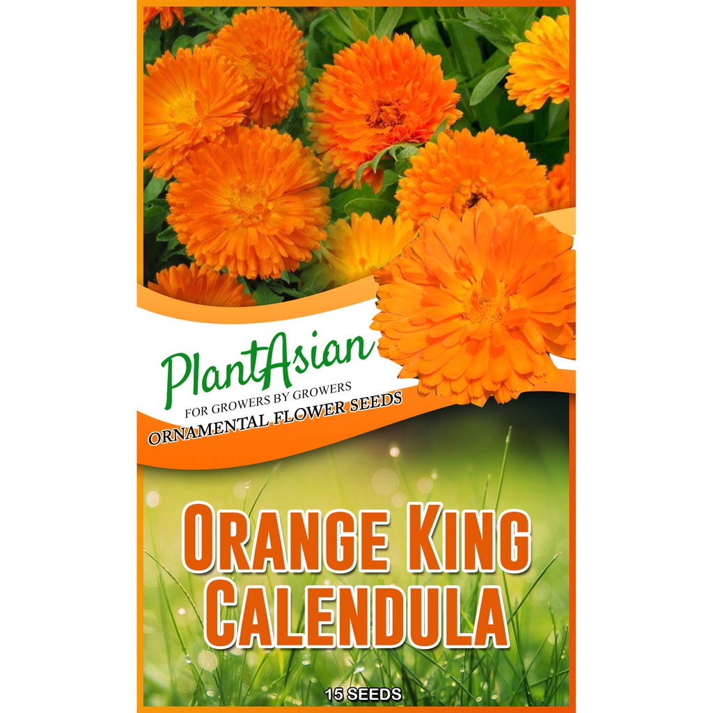 calendula flower seeds - Outdoor & Garden Best Prices and Online Promos -  Home & Living Feb 2023 | Shopee Philippines