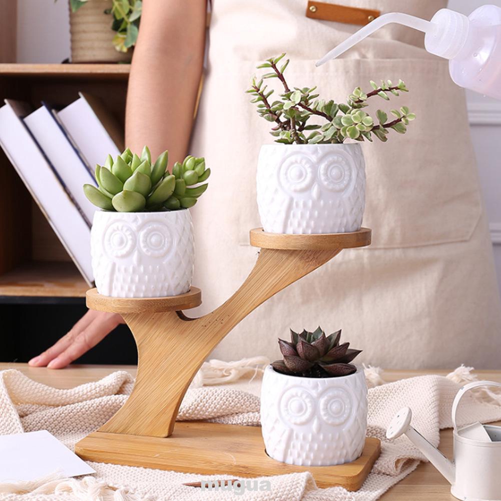 Owl Succulent Pots Ceramic Garden Planter Flower Holder Bamboo Stand Sets