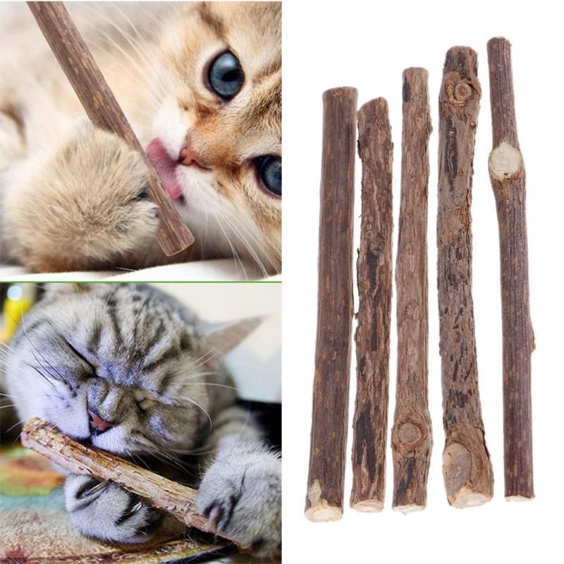 dental chew toys for cats