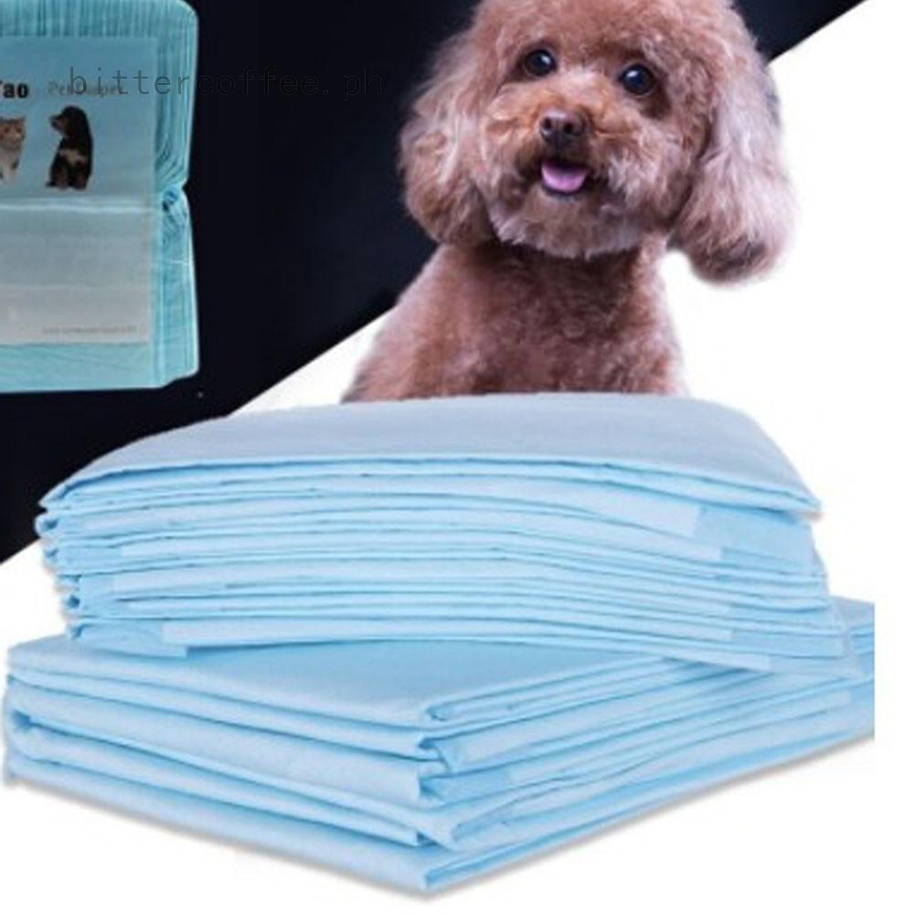 house breaking new puppy