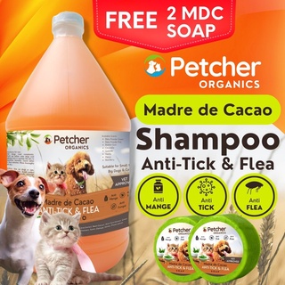 （hot sale)Petcher Organic Madre De Cacao Anti Tick and Flea Pet Shampoo with Conditioner 1 Gallon Me