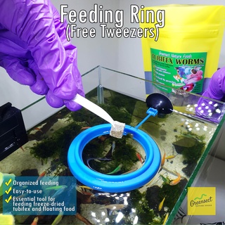 FEEDING RING with tweezers floater for Tubifex floating fish food - Greensect