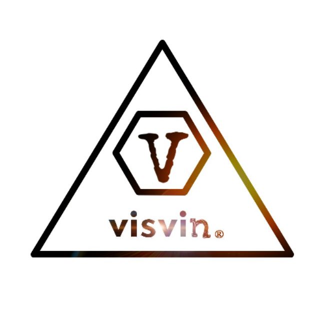 Visvin shop store logo