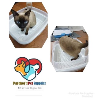 【Philippine cod】 CAT LITTERBOX with/without SIFTER/tray LARGE SIZE