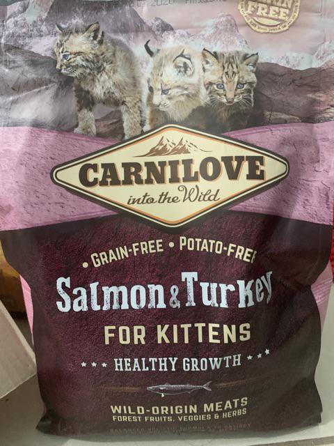 carnilove kittens