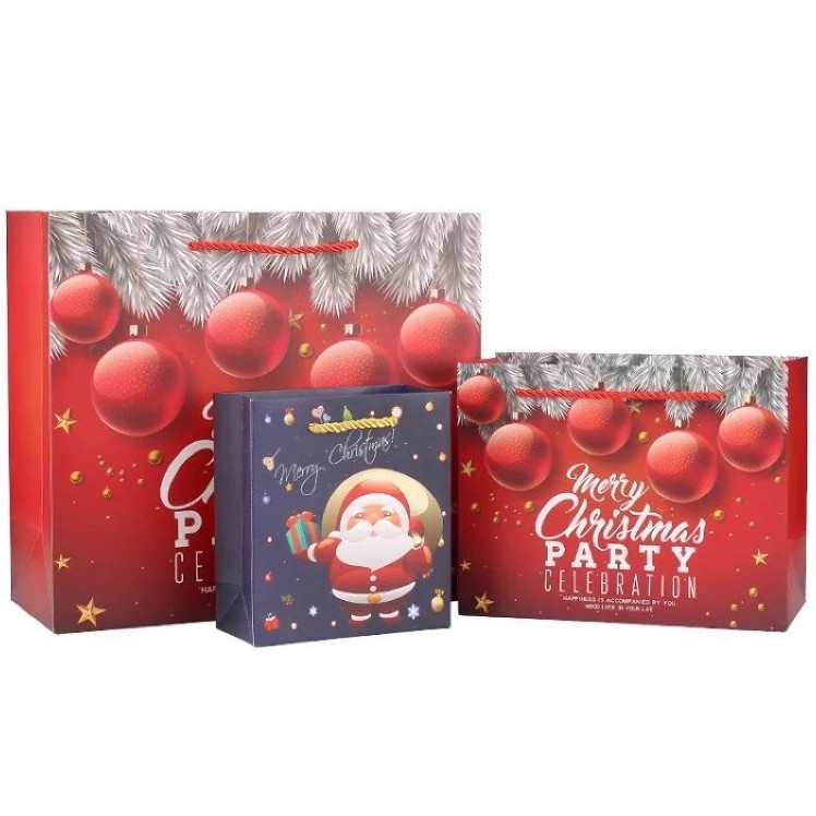[10 pcs] Christmas Paper Bag Premium Quality Paper Bag Gift wrap