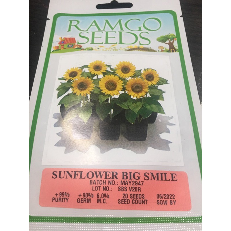 Sunflower Big Smile Ramgo Original Pack Shopee Philippines