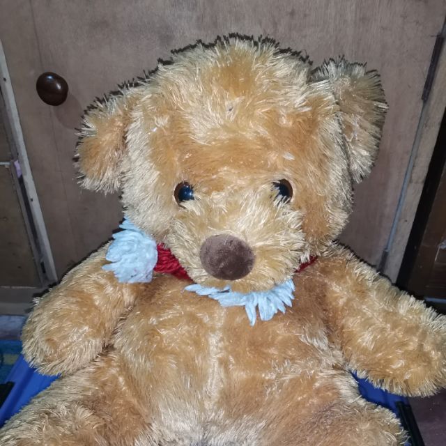 sm teddy bears