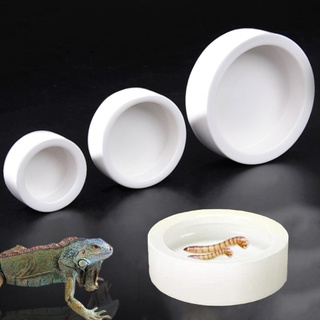 SYD Reptile Water Food Bowl Mini Round Reptile Feeder Mealworms Bowl Bearded Dragon Gecko Hermit Crab Reptirock Retile Cricket Dish Pet Feeding Supplies