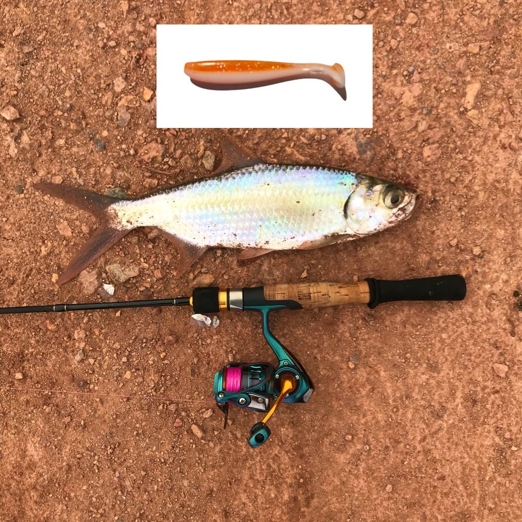 Fish HOOK CASTING FISHING FISHING FISHING FISHING FISH Soft FISH JELLY