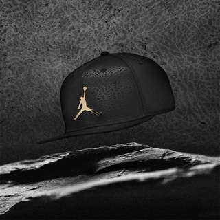 elephant print jordan hat