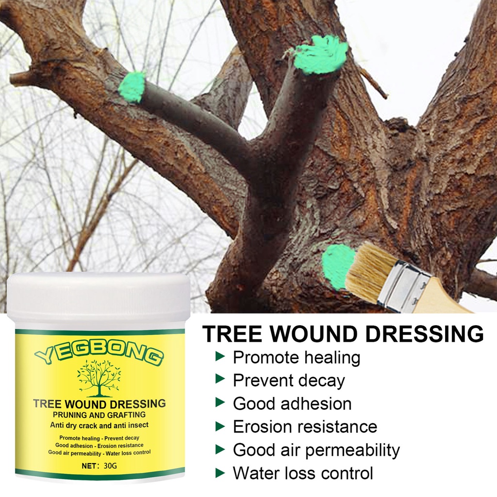 30 100 300G Tree Wound Pruning Sealer Tree Wound Dressing Tree Wound   6e2f7844cef0b10fe3597c2fe490ed97