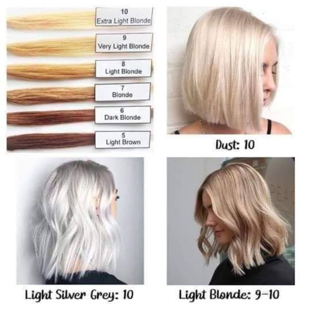 Dust Permanent Hair Color | Shopee Philippines