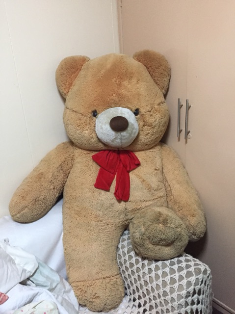 blue magic price teddy bear